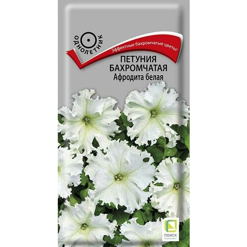 ������ ������ ������� ����������� �������� ����� ���������� 10 �����, ����� ����