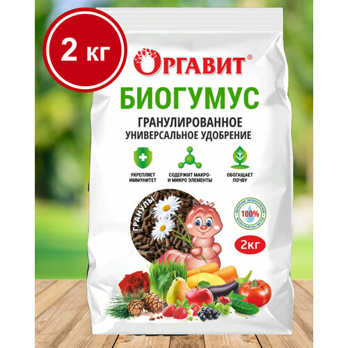 ������ ������ �������� ��������������� ������������� ��������� 2 ��, ������� ����