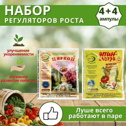 ������ ������ ����� ����������� ����� ������ + ����-������, �������� 8 �� �� 1 �� ����