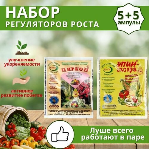 ������ ������ ����� ����������� ����� ������ + ����-������, �������� 10 �� �� 1 �� ����