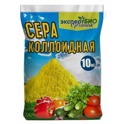 ������ ������ ���� ���������� ��� �������� �� ���������� ��������� ��� �������� ������� � ���� ����