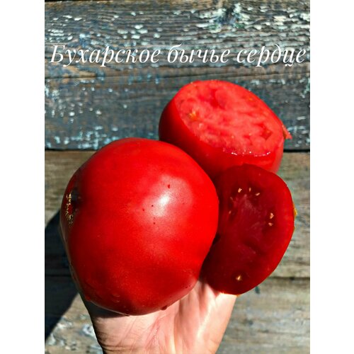 ������ ������ ������������� ������ ������ ��������� ����� ������ ����