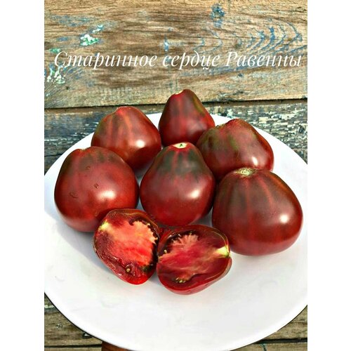 ������ ������ ������������� ������ ������ ������� ������ ������� ����