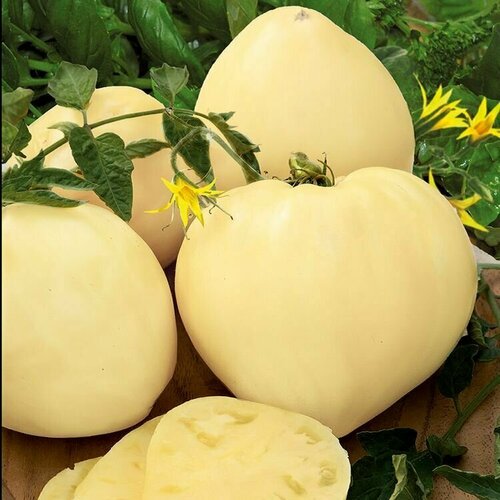 ������ ������ ������������� ������ ����� ������ ����� ����