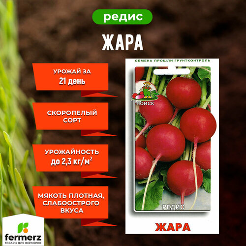 ������ ������ ������ ����� ����� ���� 3 � ����