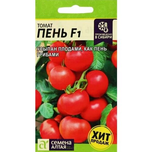 ������ ������ ����� �������������� ���� F1 ������ ����� (1 ��������-5 �� �����) ����