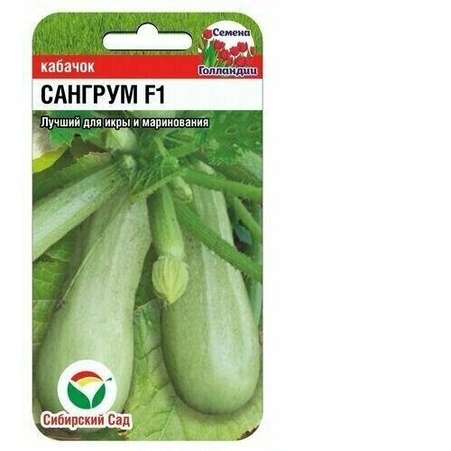 ������ ������ ������� �������� ������ ������� F1 ��������� ��� (1 ��������-3�� �����) ����