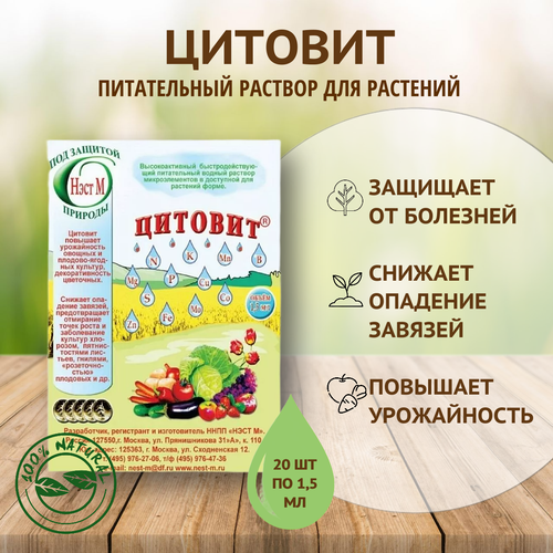 ������ ������ ������� ����