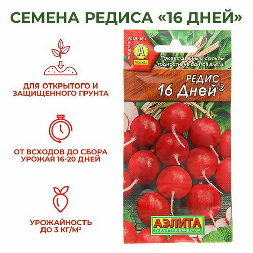 ������ ������ ������ ����� 