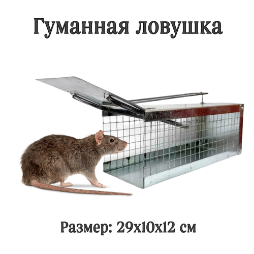 ������ ������ ���������� ������ ������+����� ����