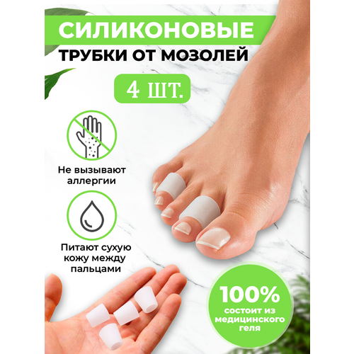 ������ ������ ����������� ������ QuisLife �� �������, ����������, �������� �������� ��������� ��� ������� ��� 4 �� ����