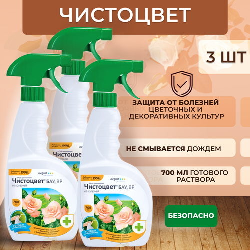 ������ ������ August ����� ��������� ��� �� ����� �����, �����������, ��������� ���� 700 ��, 3 �� ����