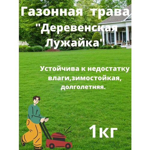 ������ ������ ������ ������ 