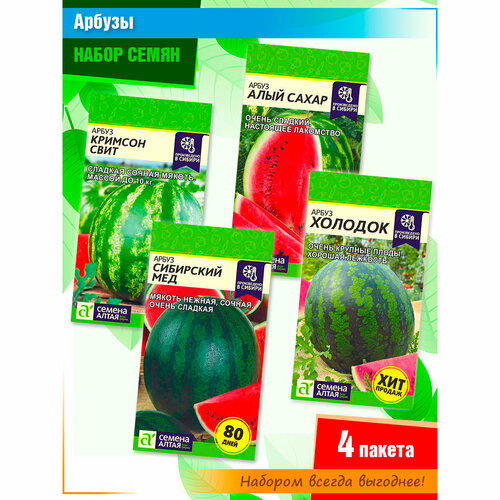 ������ ������ ����� ����� ����������� � ������������ ������� �� ������ ����� (4 �����) ����