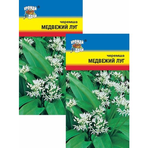 ������ ������ ������� �������� ��� (0,2 �), 2 ������ ����