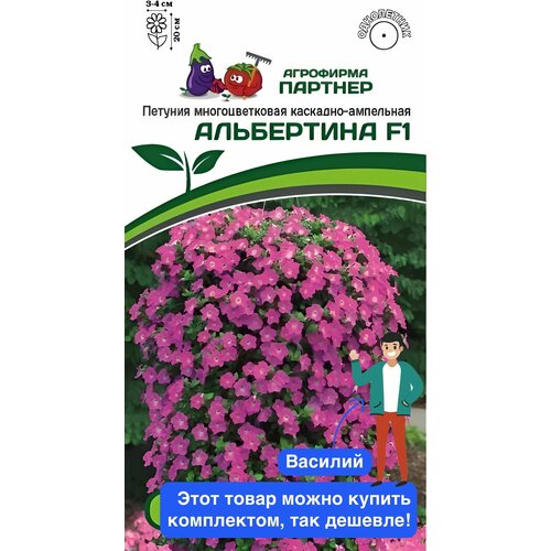 ������ ������ ����� ������� ������ ���������� F1 ����