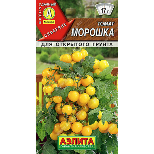 ������ ������ ������ ����� ������� ����� 20�� ��� ������ (������) ����