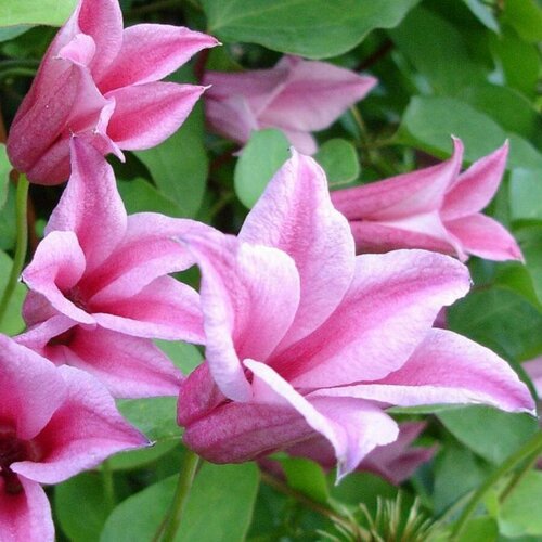 ������ ������ ������ �������� ������������ (������) ����� �� ������ 0,05 � (1 ��������) ����