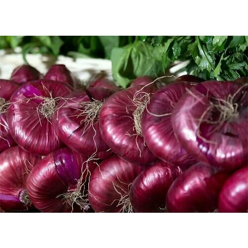 ������ ������ ������������� ������ ���� �������� ������� ���� ����