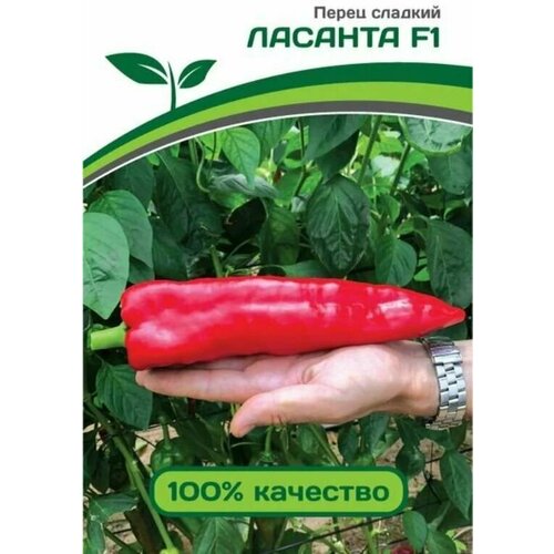 ������ ������ ������������� ������ ����� �������� ������� F1 ����