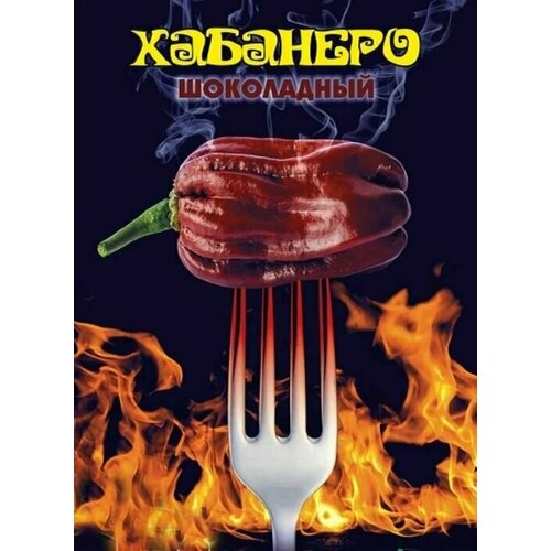 ������ ������ ������������� ������ ����� ������� �������� ���������� ����