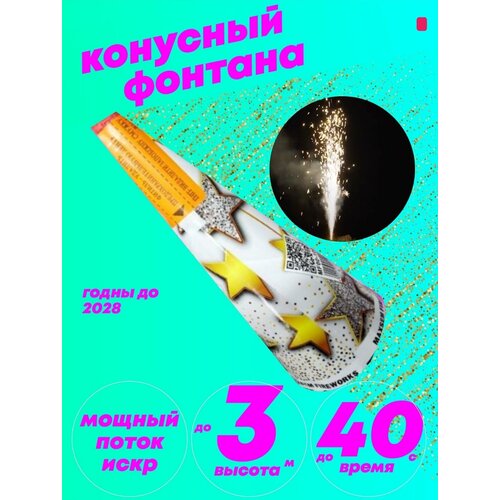 ������ ������ �� ����� ��� 2024 �������� 4�� ����