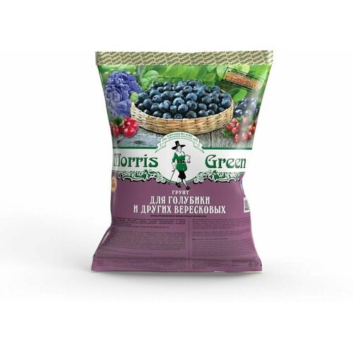 ������ ������ ����� ��� �������� Morris Green 33 � ����