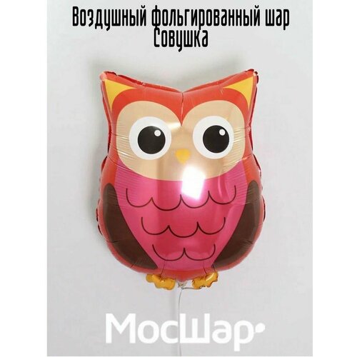 ������ ������ ��������� ��� �������������� ����, 66 ��, ������ ����