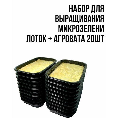 ������ ������ ����� ��� ����������� ���������� (��������+�����) 20�� ����