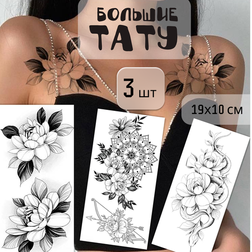 ������ ������ ����� ������� ���������� ���� 3 ����� (19�10 ��). ��������� ����