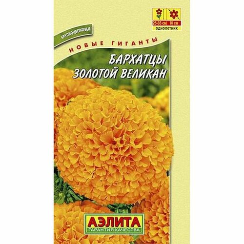 ������ ������ ������ �������� ������� �������, ��. (����������) (������) 0,1� ����