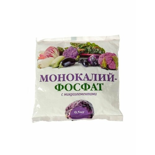 ������ ������ ��������� ����������� ��������������� 500 �� ����