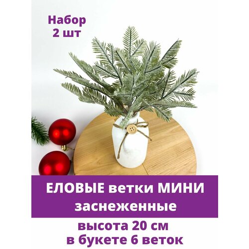 ������ ������ ������ ����� ����, �����������, ����� 20 ��, ����� 2 ��. ����