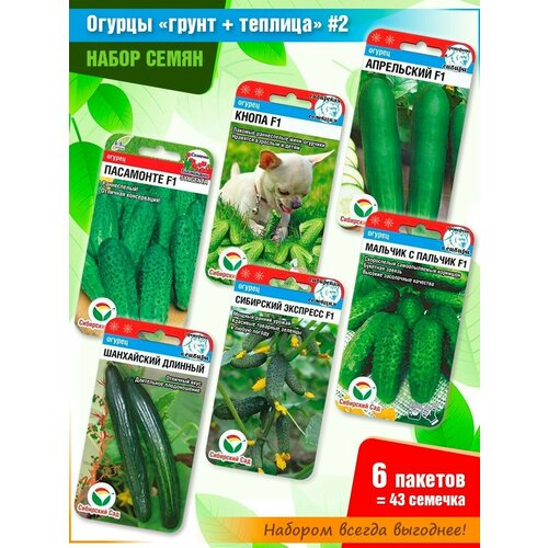 ������ ������ ����� ����� ������� 