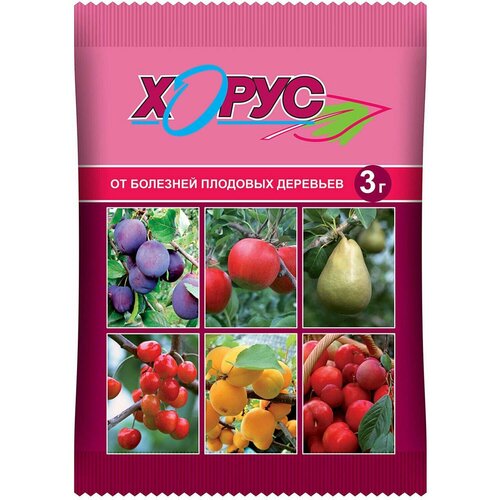 ������ ������ ���� ��������� �������� ��� ������ �������� �� �������� �����, 3 ��, 3 � ����