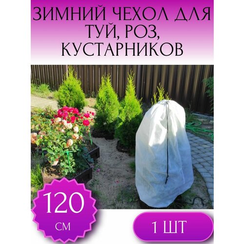 ������ ������ ������ ����� �� �������� ��� ��� � �������������, ��� ���, ��� ������ � �������� ������ 120*80 ��, 1 ��. ����