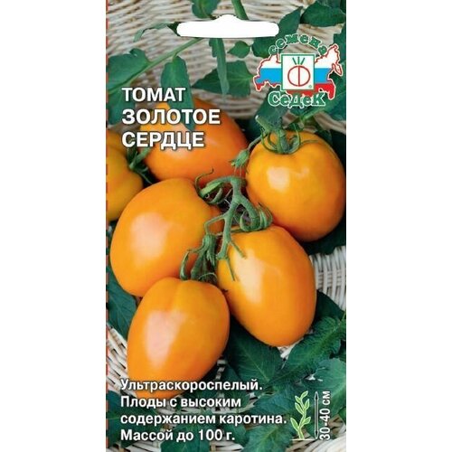 ������ ������ ����� ������� ������, 1 �����, ������ 0,1 ��, ����� ����