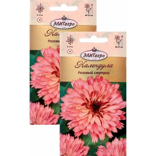 ������ ������ ��������� ������� ������� (0,3 �), 2 ������ ����