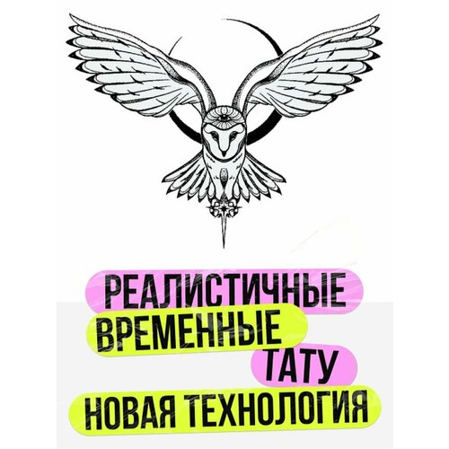 ������ ������ ���� ���������� �������������� �������� ���� ����