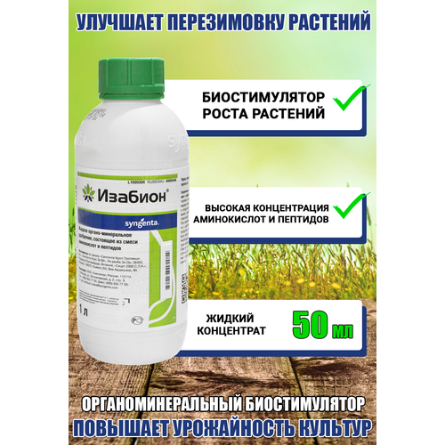 ������ ������ �������, ���������� ����� ��������, 50 �� ����