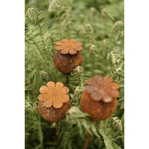 ������ ������ ������� ����� ���� ��� ���� 7-115 ����