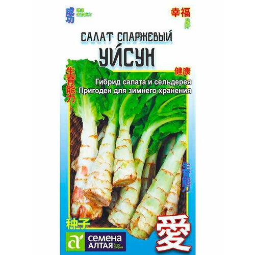 ������ ������ ����� 