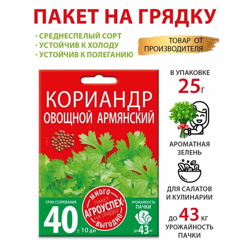 ������ ������ ������ �������� (�����) ��������� 25 � ����