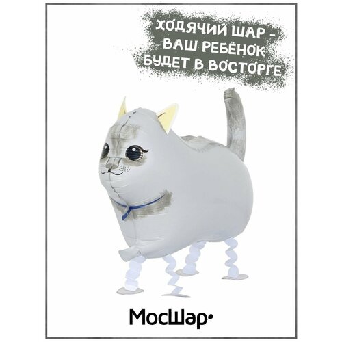 ������ ������ ��������� ��� ������� ��� ����� ����