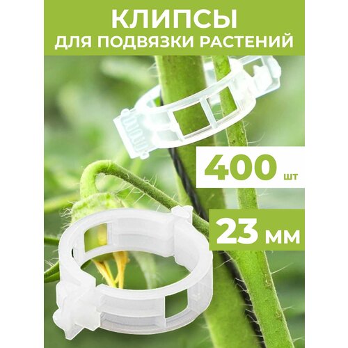 ������ ������ ������ ��� �������� �������� 23 ��, 400 ���� ����