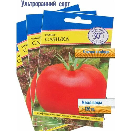 ������ ������ ����� ������ ������� ����