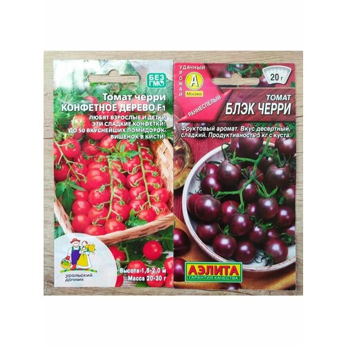 ������ ������ ������ �����: ��������� ������ � ���� ����� ����