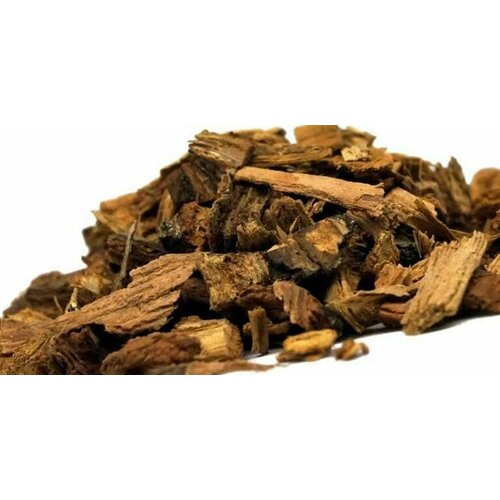 ������ ������ ���� ���� 1000�� ����