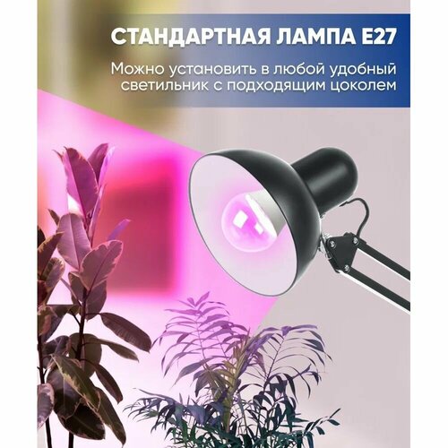 ������ ������ ����� ��� �������� 15W ������ E27 ������-����� ������ LB-7061 ����