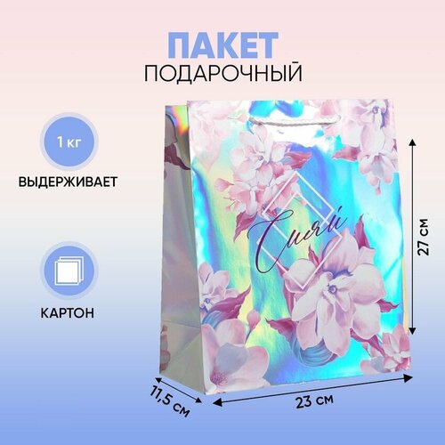 ������ ������ ����� ���������� �����, 23 ? 27 ? 11.5 �� ����